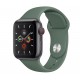 Apple Watch Series 5 (GPS+CELLULAR) 40mm Space Gray Aluminum Case with Sport Band Pine Green