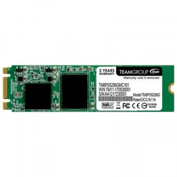 SSD накопитель M.2 2280 256GB Team (TM8PS5256GMC101)