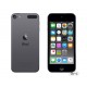 Плеер Apple iPod touch 6Gen 64GB Space Gray (MKHL2)