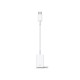 Apple USB-C to USB Adapter (MJ1M2)