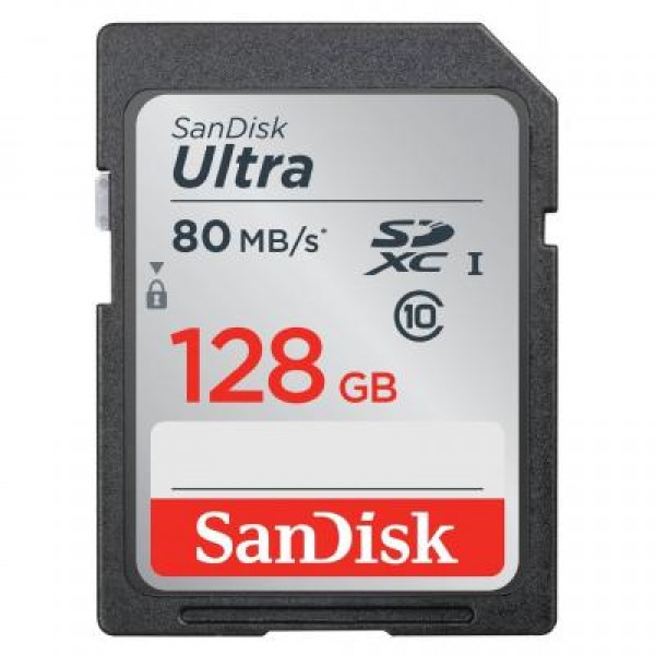 Карта памяти SanDisk 128GB SDXC Class 10 UHS-I (SDSDUNC-128G-GN6IN)