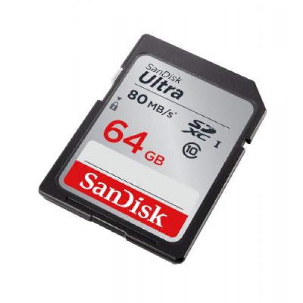 Карта памяти SanDisk 64GB SDXC Class 10 UHS-I (SDSDUNC-064G-GN6IN)