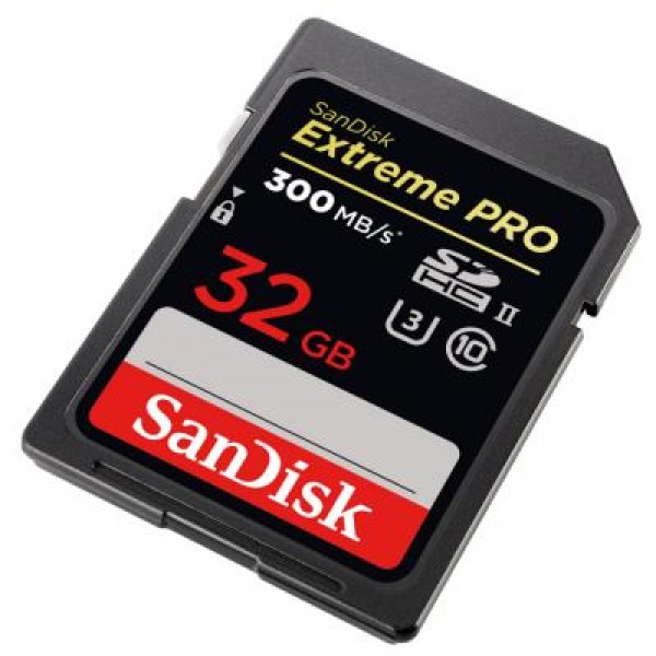 Карта памяти SanDisk 32GB SDHC class 10 UHS-I U3 (SDSDXPK-032G-GN4IN)