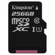 Карта памяти Kingston 256GB microSDXC Class 10 UHS-I (SDC10G2/256GBSP)