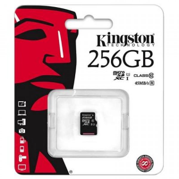 Карта памяти Kingston 256GB microSDXC Class 10 UHS-I (SDC10G2/256GBSP)