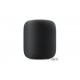 Колонка Apple HomePod Space Gray (MQHW2)