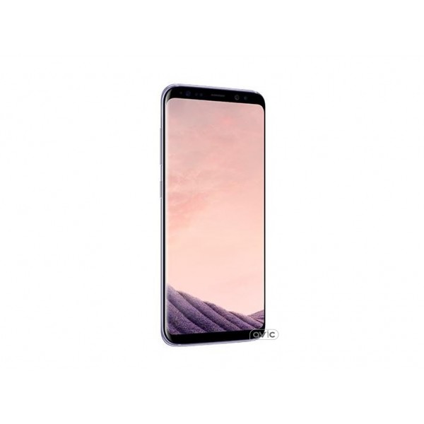 Смартфон Samsung Galaxy S8 64GB Gray (SM-G950FZVD)