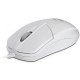 Флешка SanDisk 16GB Cruzer Blade Pink USB 2.0 (SDCZ50C-016G-B35PE)